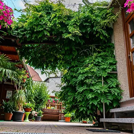 Pension Borna Gæstehus Borna