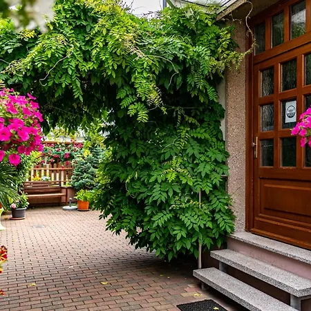 Pension Borna 3* Borna