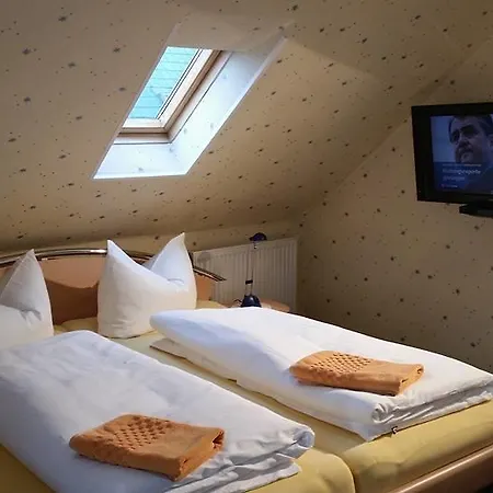 Guest house Pension Borna 3*