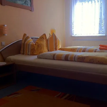 بيت ضيافة Pension Borna 3*