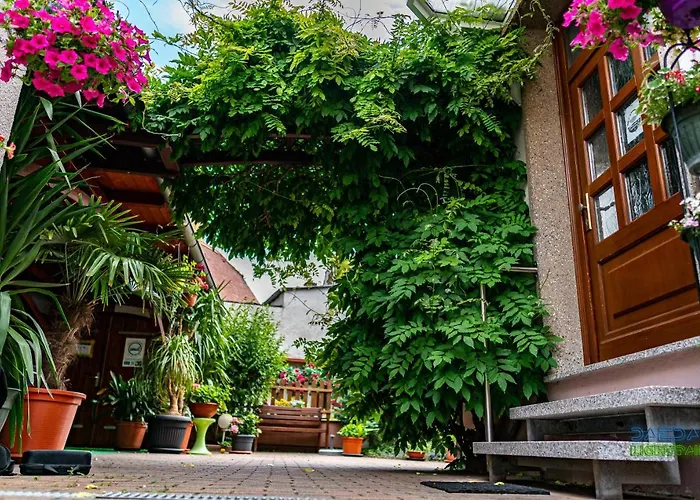 Pension Borna Guest house Borna