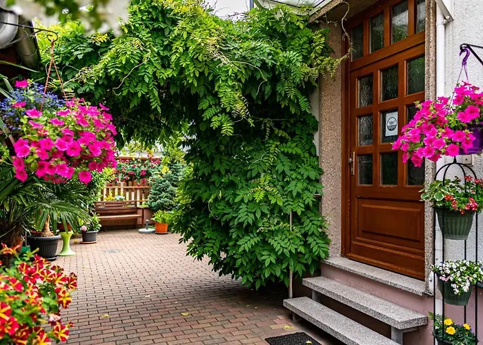 Pension Borna 3* Borna