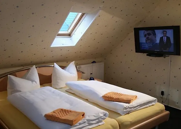 Guest house Pension Borna 3*