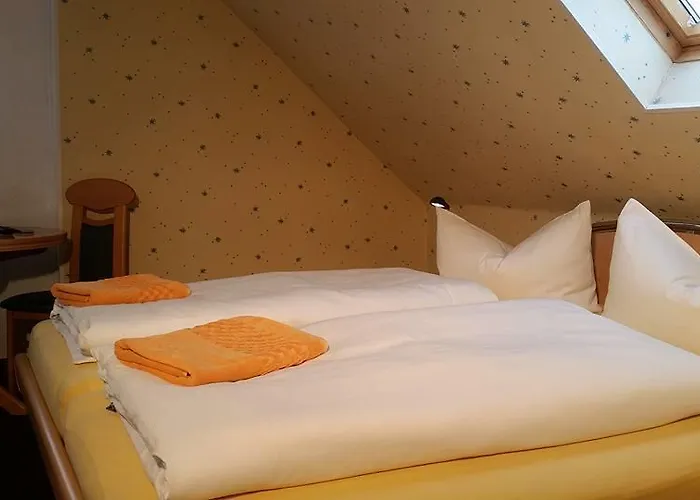 Guest house Pension Borna