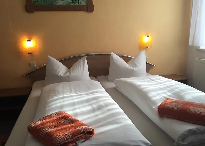 Guest house Pension Borna 3*