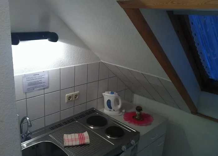 Guest house Pension Borna 3*