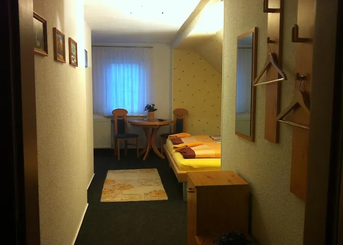 Guest house Pension Borna 3*
