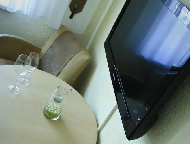 Guest house Pension Borna 3*